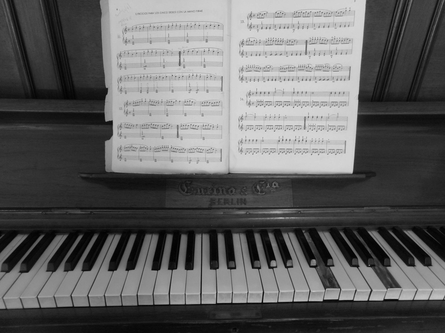 Piano lessons for exams preparation and performance  training